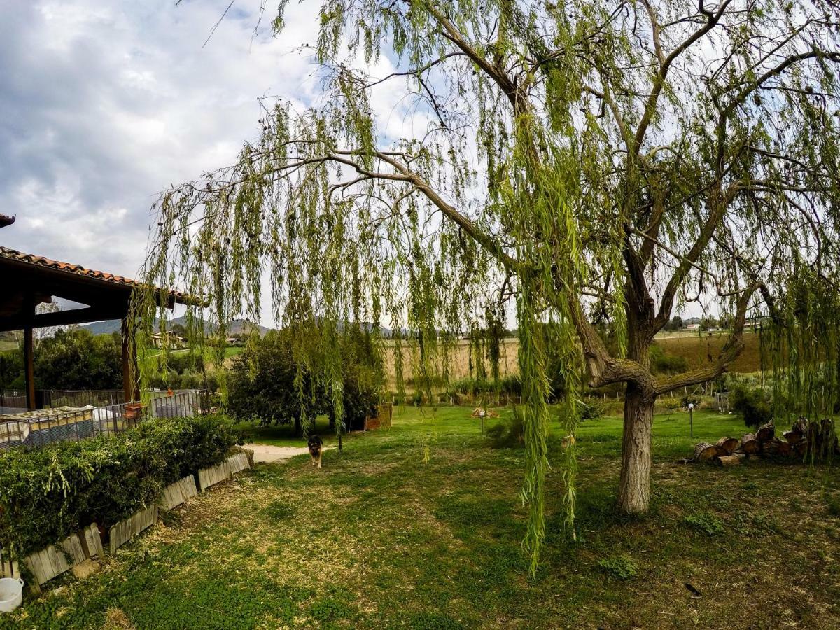 Vila Le Cascatelle Cerveteri Exteriér fotografie