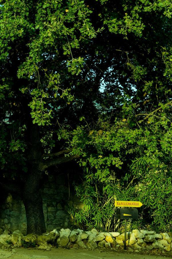 Vila Le Cascatelle Cerveteri Exteriér fotografie