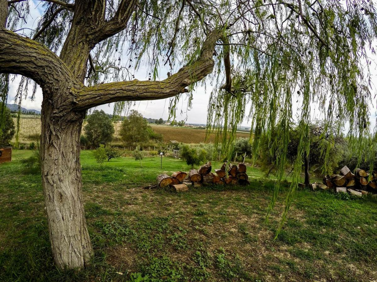 Vila Le Cascatelle Cerveteri Exteriér fotografie